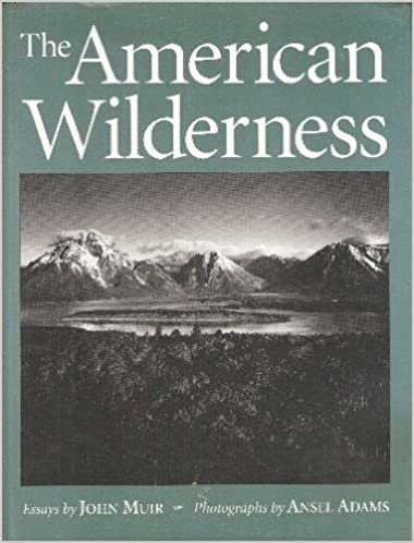 The American wilderness